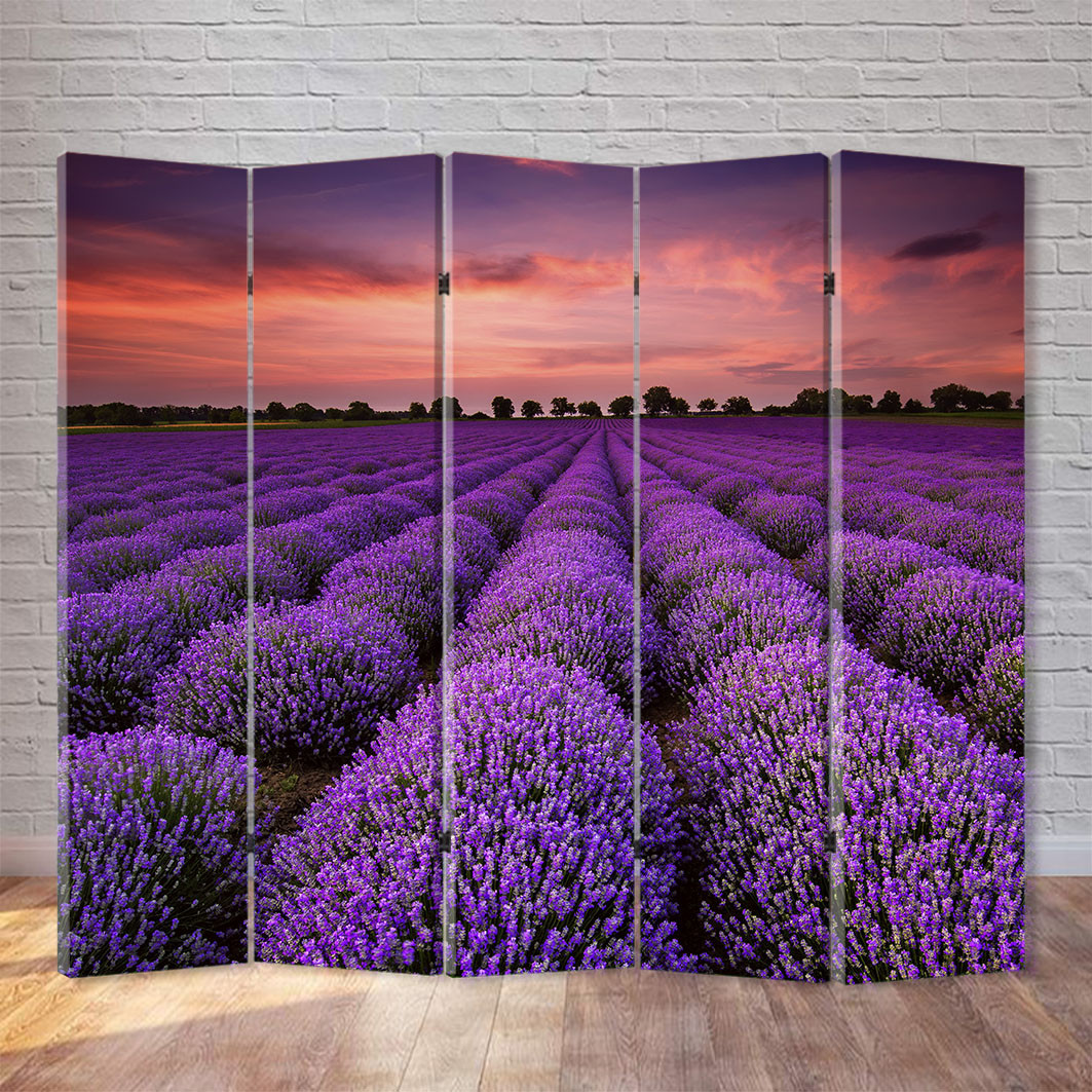 

Ширма декоративная FineDecor "Лавандовое поле" 200x180 см 045b