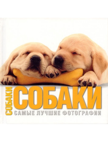 

Собаки. Самые лучшие фотографии