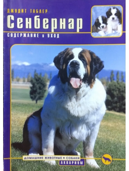 

Сенбернар. Содержание и уход