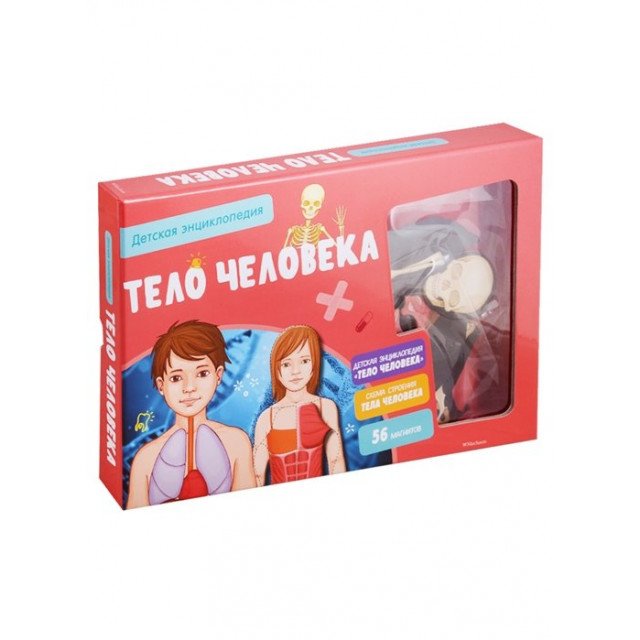 

Детская энциклопедия "Тело человека" (КОРОБКА) (+65 магнитов) - (9785389147522)
