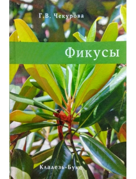 

Фикусы