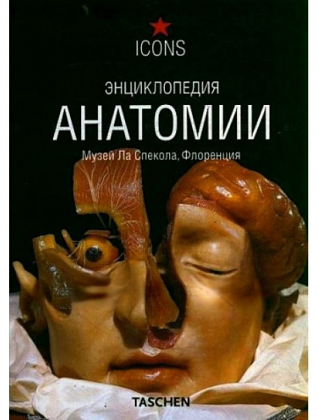 

Энциклопедия анатомии. Музей Ла Спекола, Флоренция