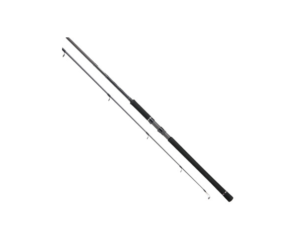 

Спиннинг Tailwalk Shore Jigging 100XH 100gr 8kg (арт.1919736195)