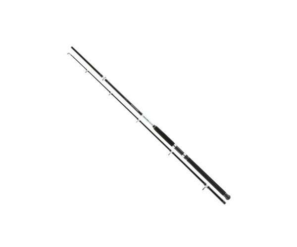 

Спиннинг Cormoran Seacor Blue Pilk Power 2.10m 100-250gr (арт.1919709981)