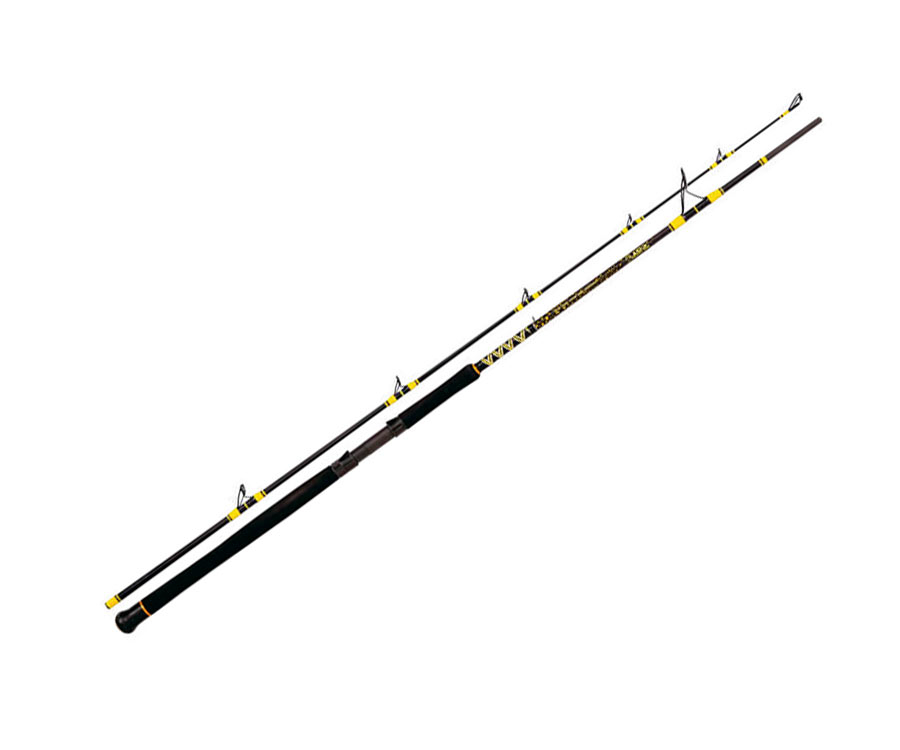 

Сомовое удилище Black Cat Passion Pro DX Boat 2.50м 400г (арт.383816419250)