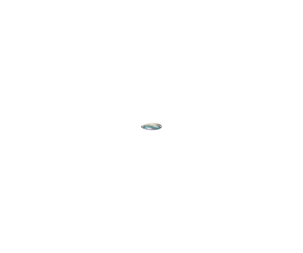 

Блесна Smith Pure Shell 3.5 07 BL (арт.40405426261)