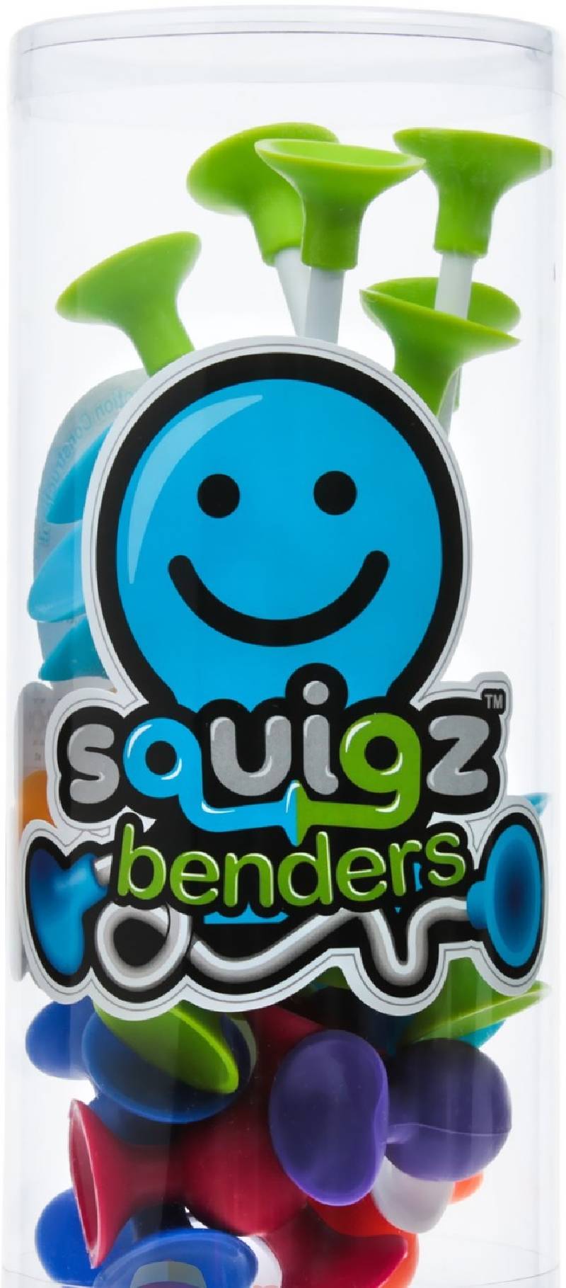 

Конструктор из присосок Fat Brain Toys SQUIGZ BENDERS (FA098-1)