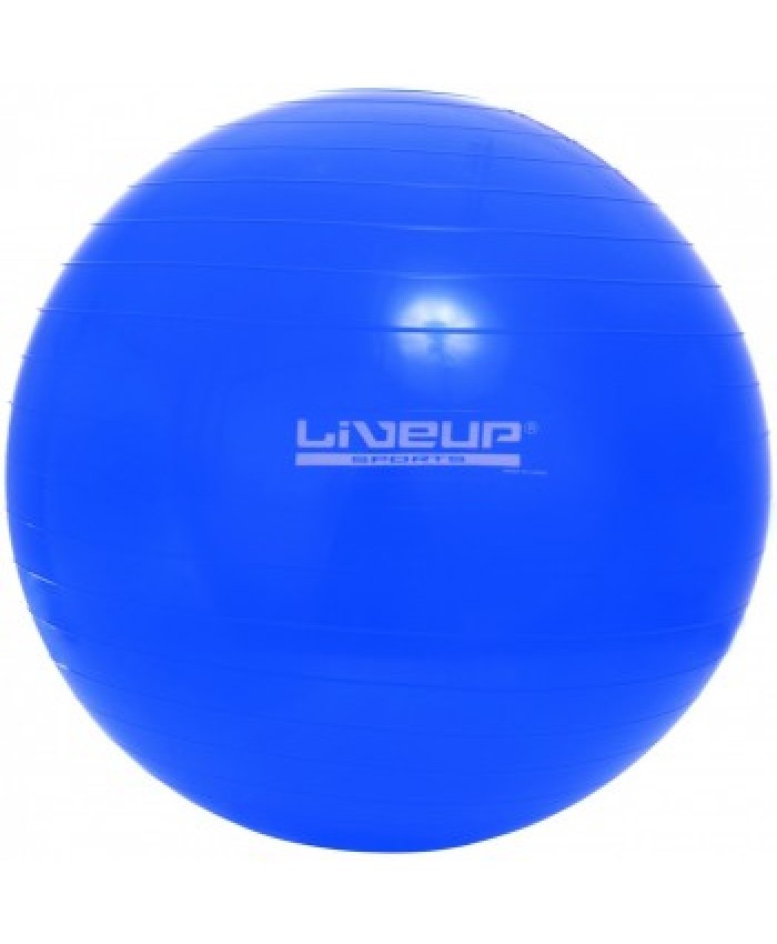

Мяч Фитбол гимнастический LiveUp LS3221-65b