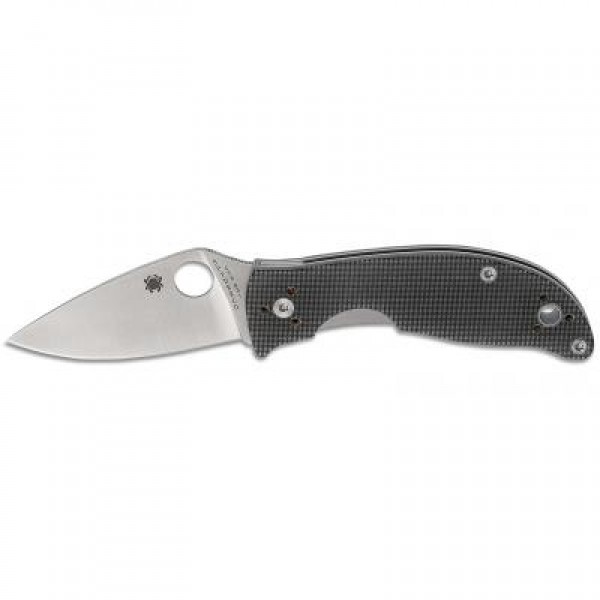 

Нож Spyderco Alcyone (C222GPGY)