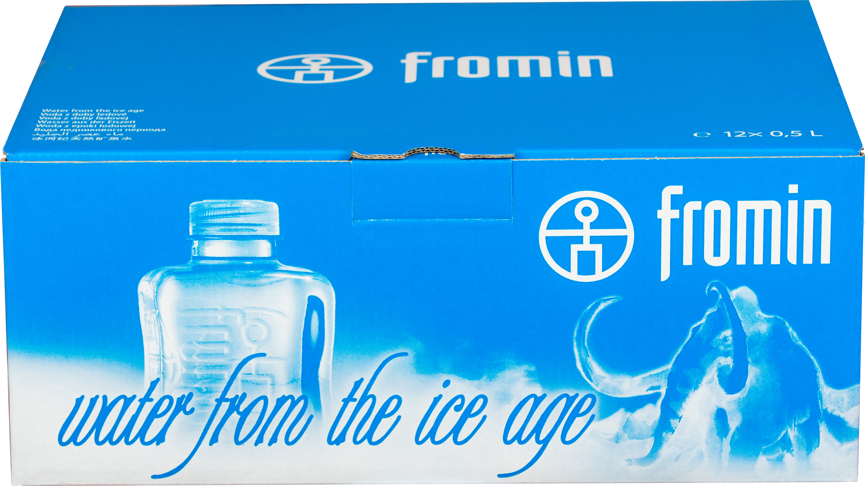 Акция на Упаковка воды ледникового периода питьевой негазированной Fromin Ledovka Water 0.5 л х 12 бутылок (8594161670209) от Rozetka UA