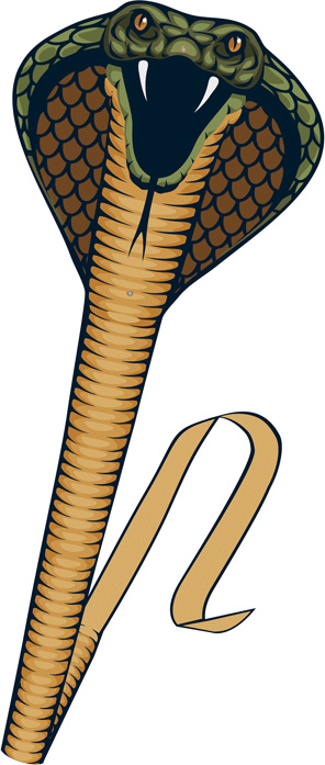 

Воздушный змей Paul Gunther Cobra (1154) (4001664011544)