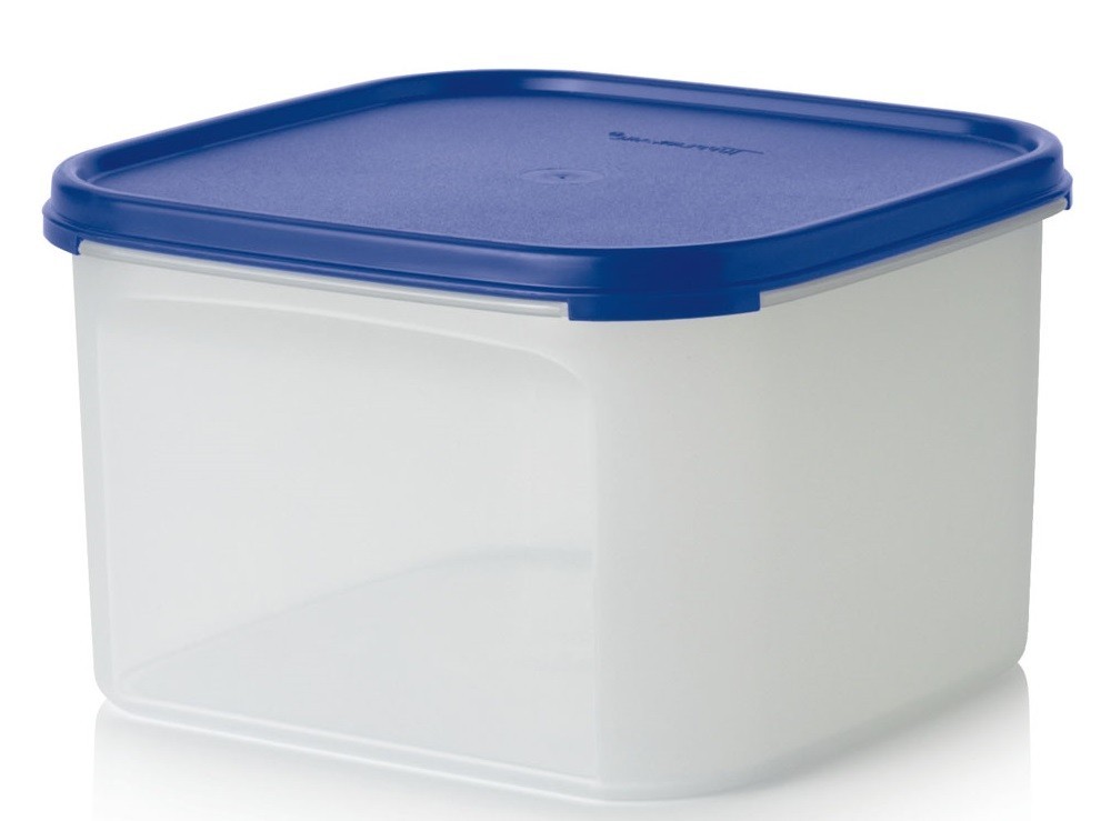 

Контейнер Компакт Tupperware 2,6 л А31