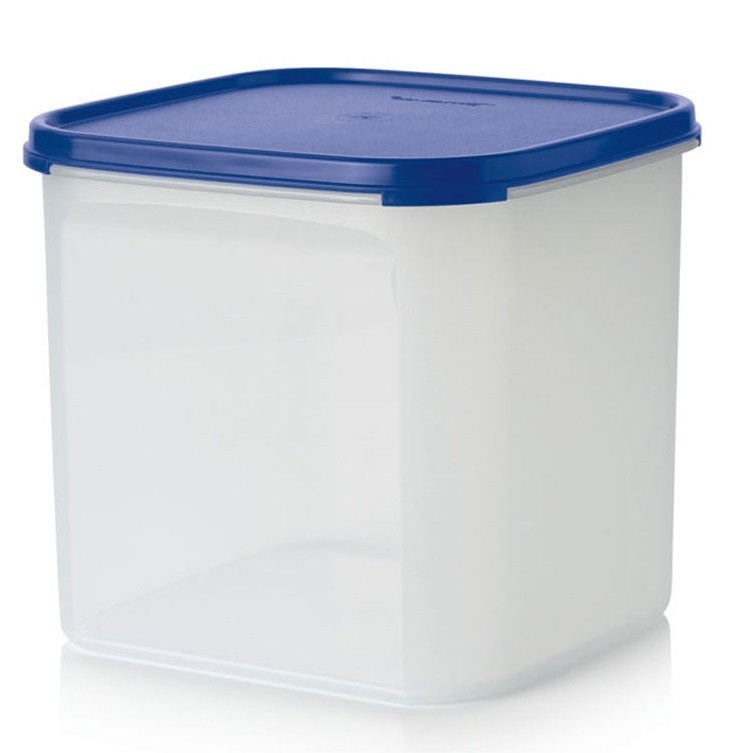 

Контейнер Компакт Tupperware 4 л А32