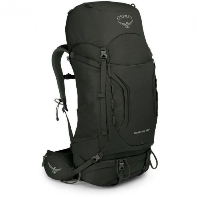 

Рюкзак Osprey Kestrel 58 Picholine Green - M/L - зелений (009.1855)