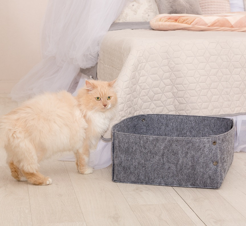 

Корзина-лежак для животных на кнопках с подушкой Digitalwool 20х40х40 см (zoo0000394) Серый