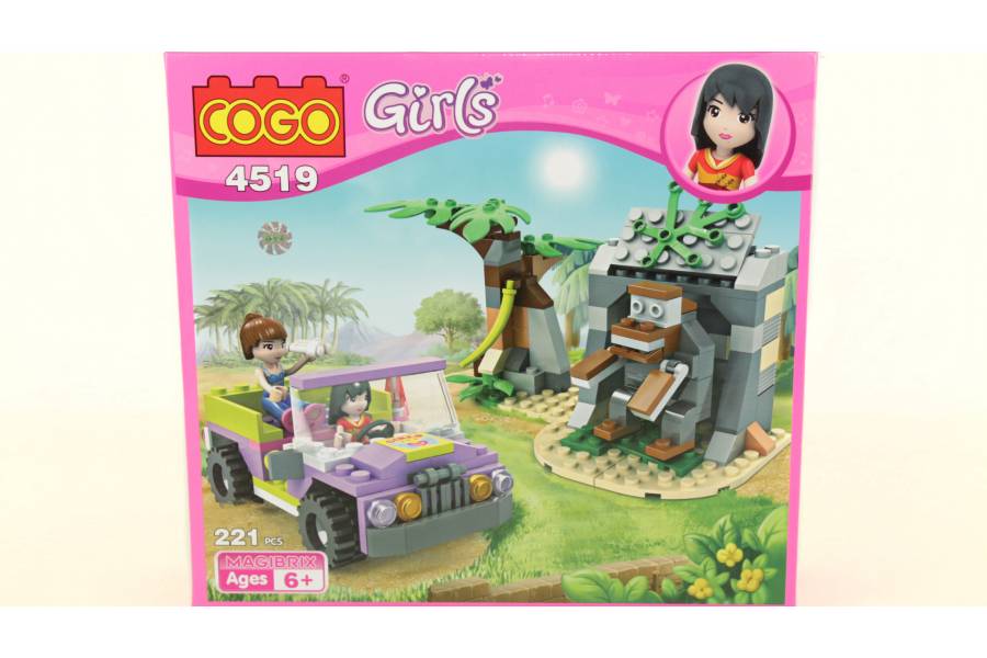 

Конструктор "Girls" COGO 4519 bublik (TP0144519)