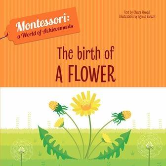 

Книга с тактильными ощущениями The Birth of a Flower Agnese Baruzzi, Chiara Piroddi ISBN 9788854414044