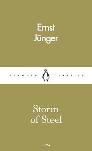 

Книга 24 Storm of Steel (PC) ISBN 9780241261996