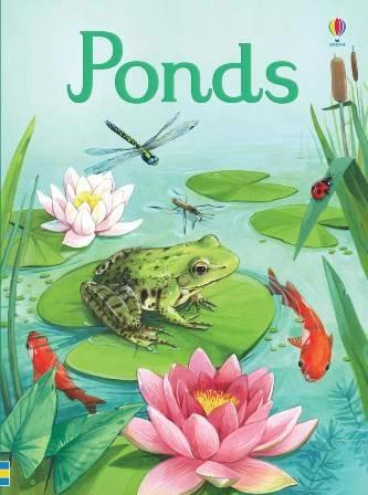 

Книга Beginners Ponds Emily Bone ISBN 9781474953627