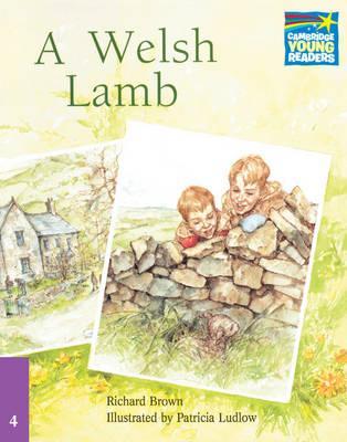 

Книга Cambridge StoryBook 4 A Welsh Lamb ISBN 9780521674829