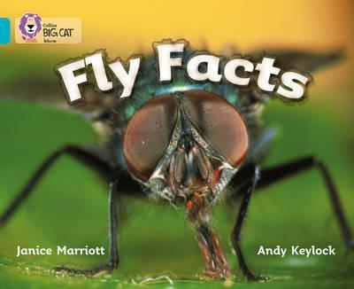 

Книга Fly Facts. Band 7 ISBN 9780007186082