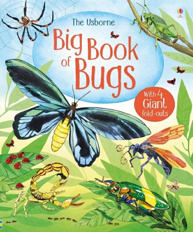 

Книга Big Book of Bugs Emily Bone ISBN 9781474928960