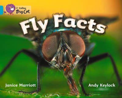 

Рабочая тетрадь Fly Facts. Workbook. ISBN 9780007473717