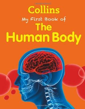 

Книга My First Book of the Human Body New Edition ISBN 9780007521159