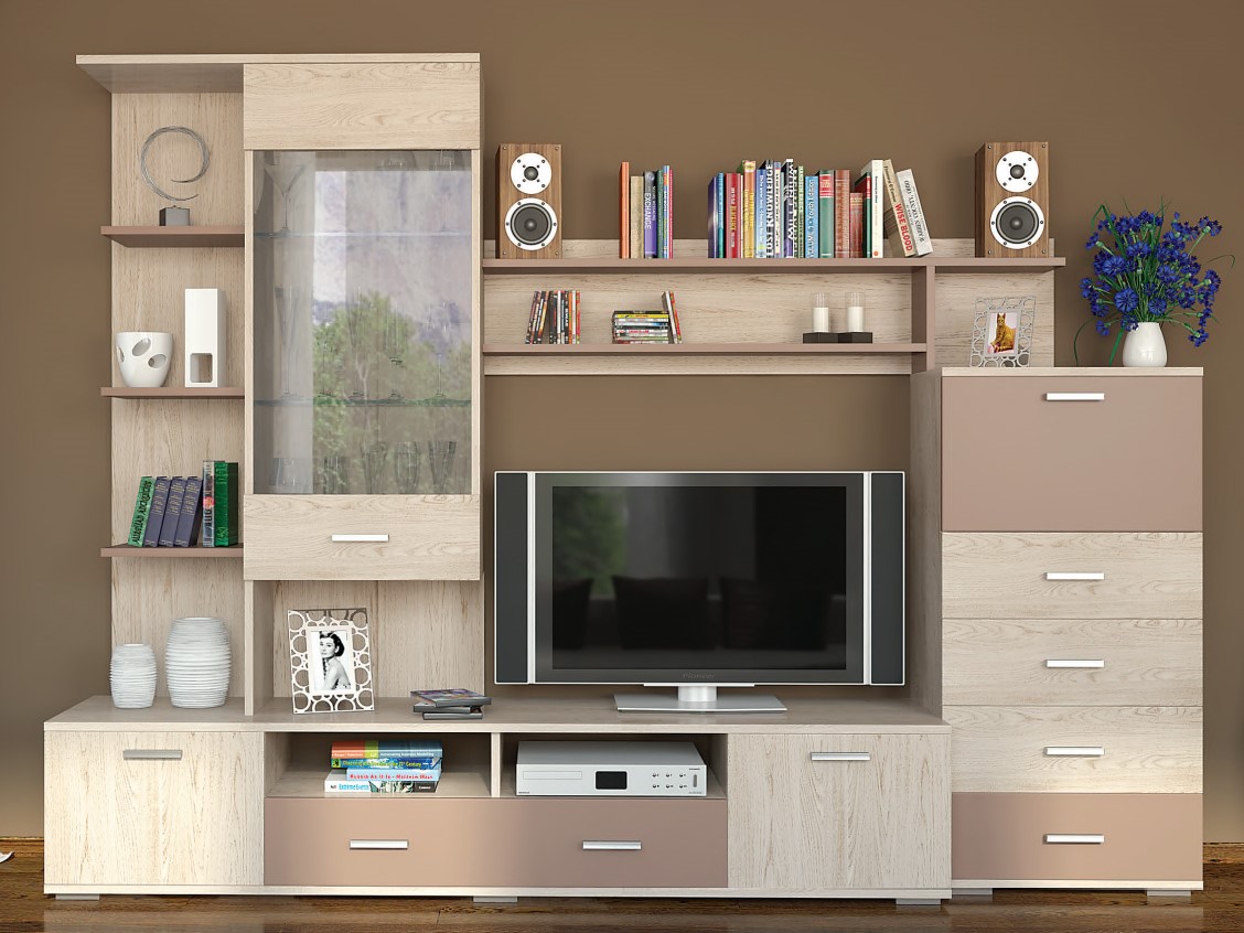 

Гостиная Рио дуб сонома / латте (224-42)