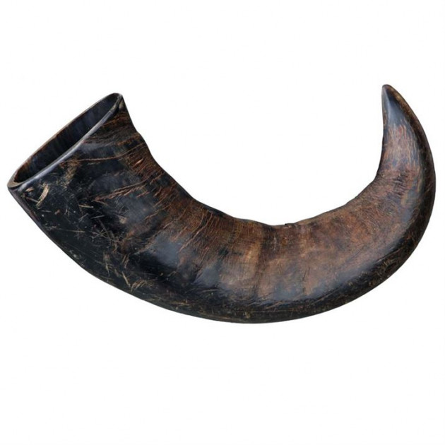 

Лакомства Trixie BGL-TX-2521 Buffalo Chewing Horn для собак рог буйвола большой