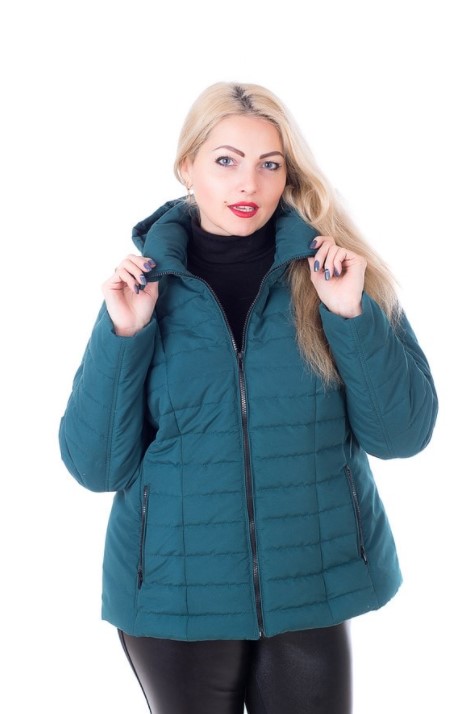 

Куртка женская демисезонная больших размеров MODA 0061  () Зеленый (0061/5 A, Куртка женская демисезонная больших размеров MODA 0061 4XL (56) Зеленый (0061/5 A)