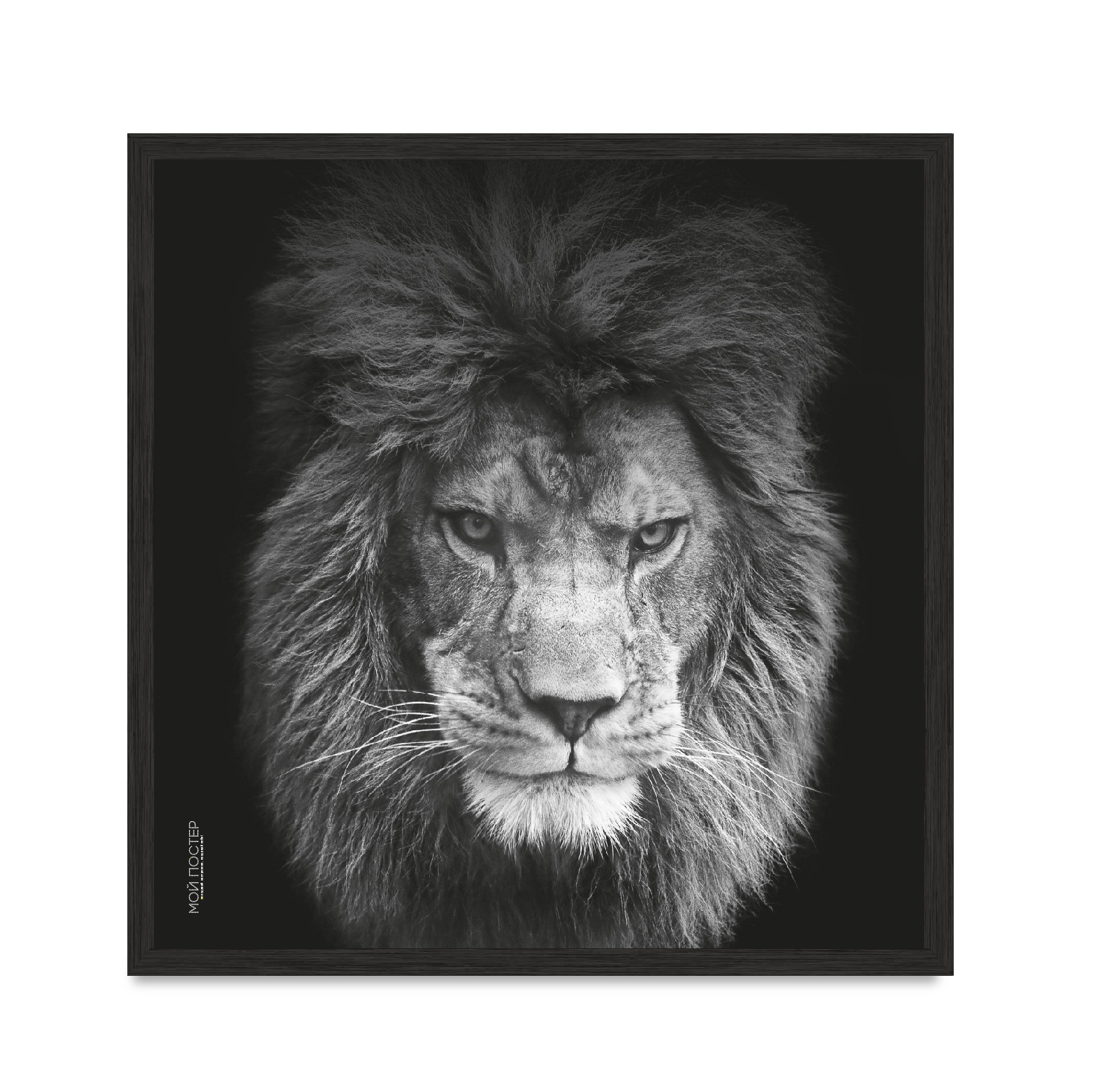 

Постер в рамке MY POSTER с антибликовым стеклом 60х60 см Black "Lion vol 5."