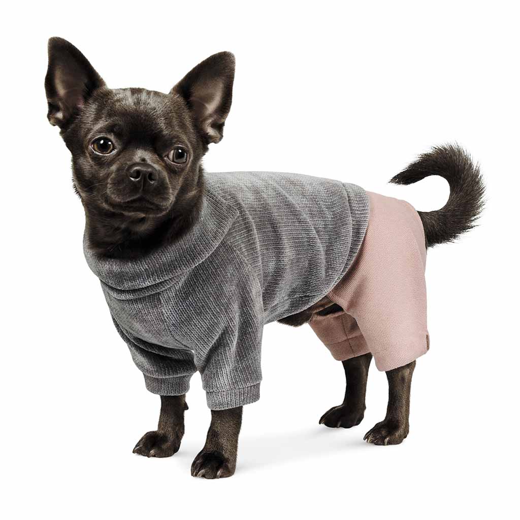 

Костюм Pet Fashion Пунш для собак XS Pet Fashion BGL-PF-907