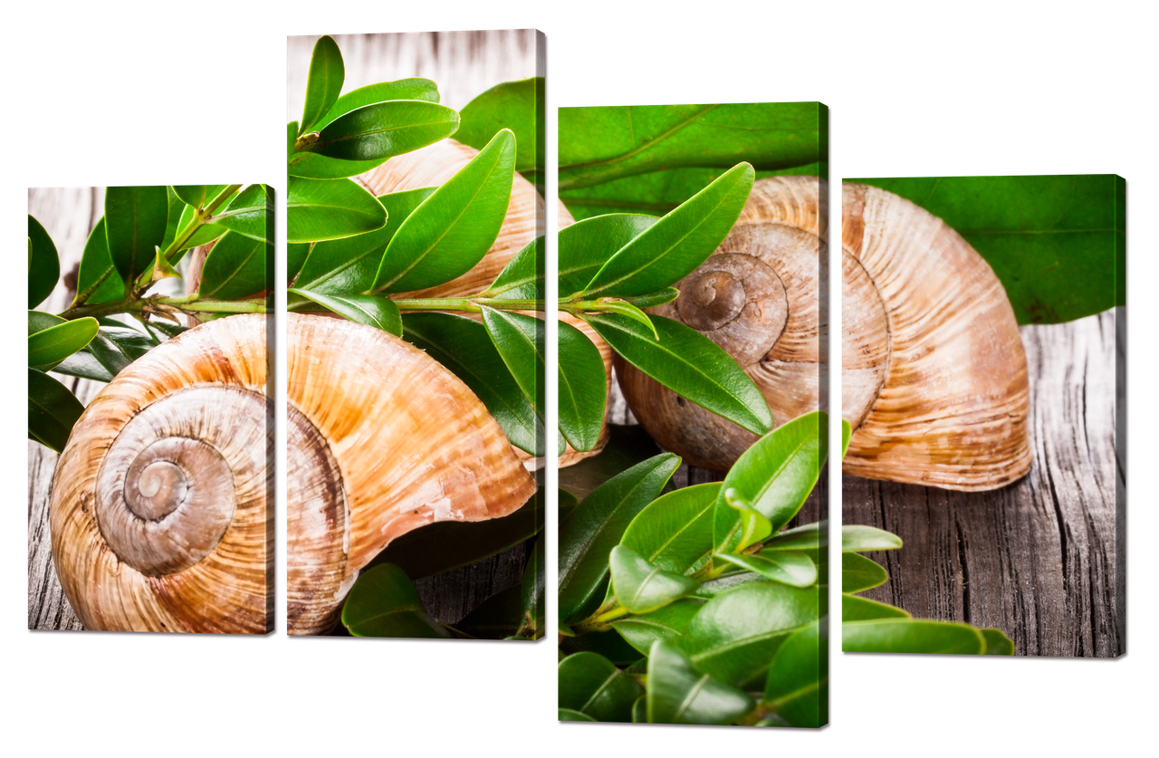 

Модульная картина Interno Холст Улитки в ветвях 146x96см