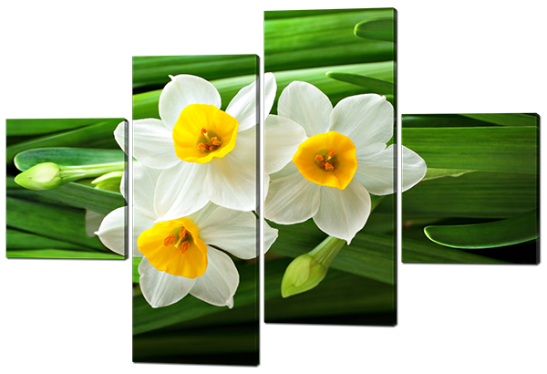 

Модульная картина Interno Эко кожа Белые нарциссы 106х71см