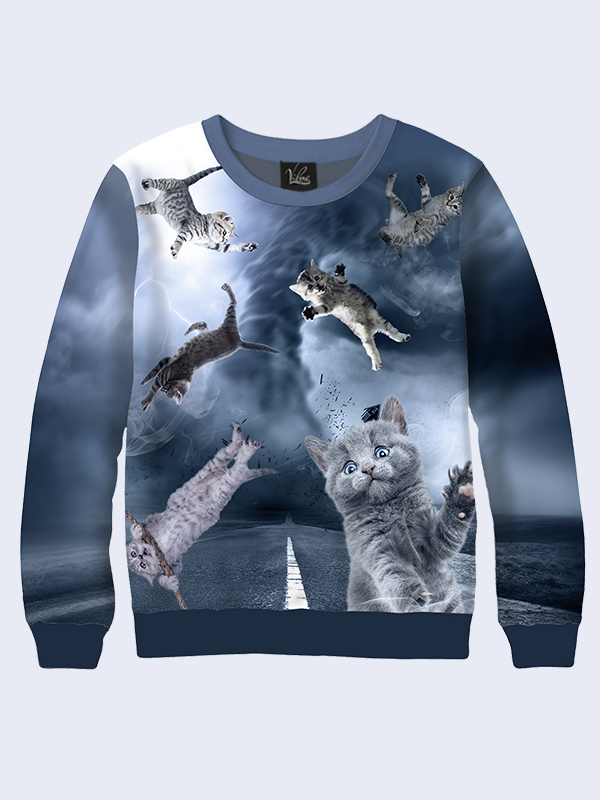 

Мужской свитшот Коты и буря (2901) Vilno XL 000137471
