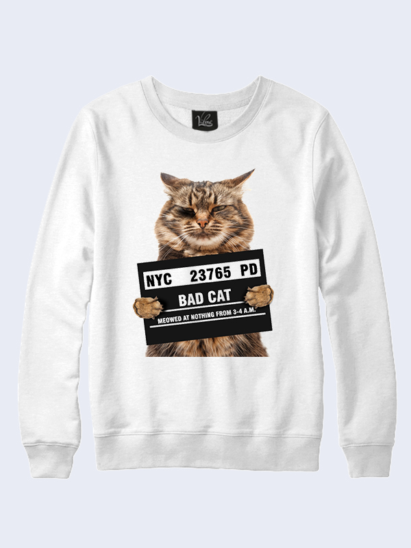 

Мужской свитшот Кот под следствием (2992) Vilno M 000135374