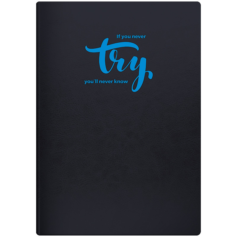 

Ежедневник недатированный BRUNNEN Агенда Flex Try 46999