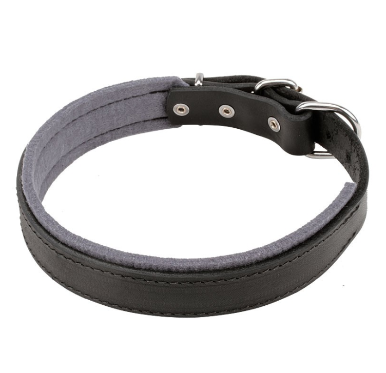 

Ошейник с войлочной подкладкой ld092 Lockdog L (45-55 см) (zoo0000410) Черный