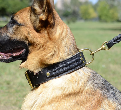 

Кожаный ошейник для собак ld081 Lockdog S (16-29 см) (zoo0000461) Черный