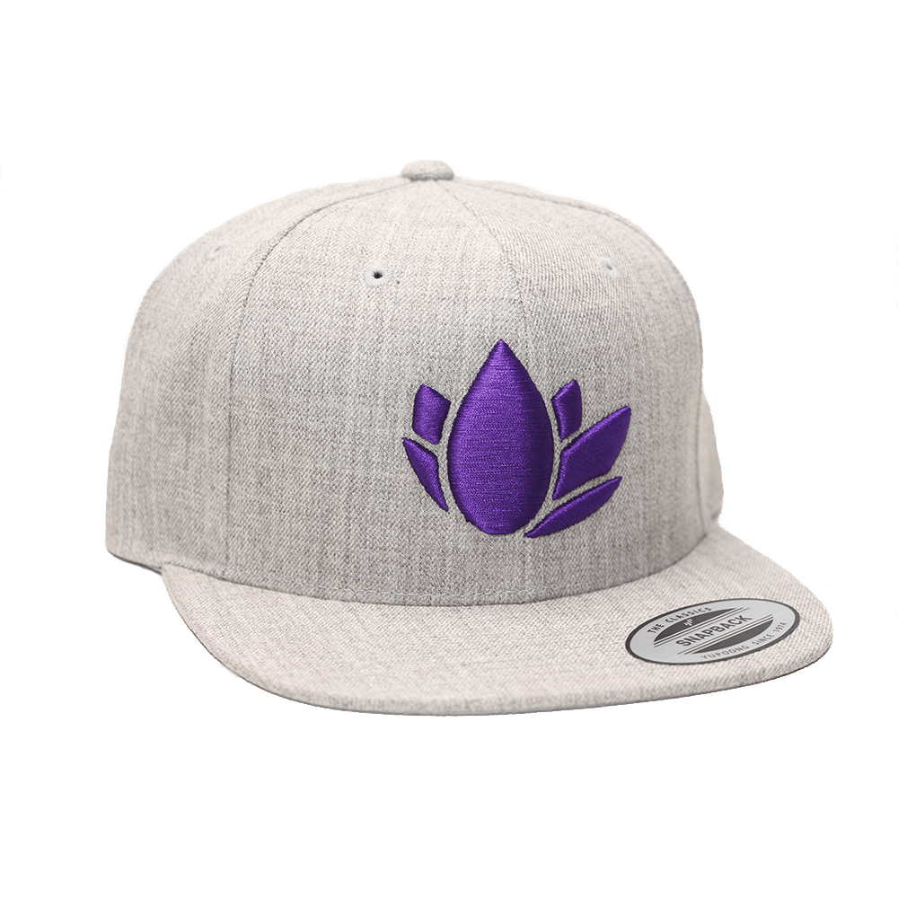 

Брендовая кепка Nanolex Snapback Cap New NXSNCAPB