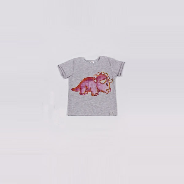

Футболка Little Bunny с аппликацией динозавра Трицераптор-красный 104см Серая