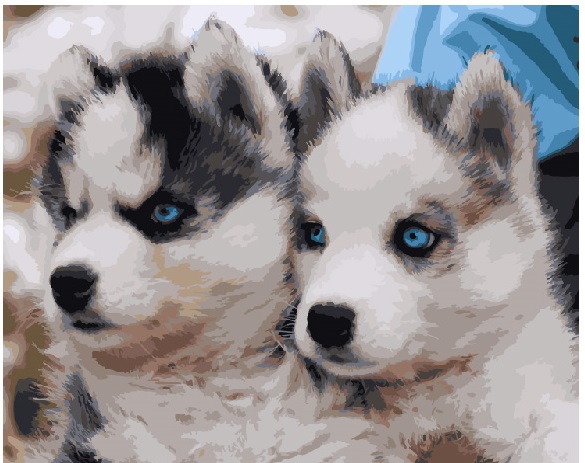 

Картина по номерам BrushMe Щенки хаски 40*50 см (без коробки) арт.BK-GX3797