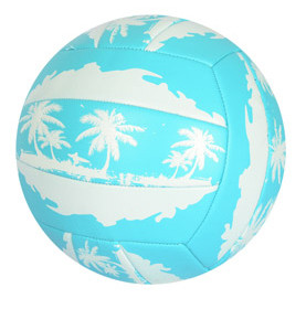 

Мяч волейбольный METR+ EN Blue 3296