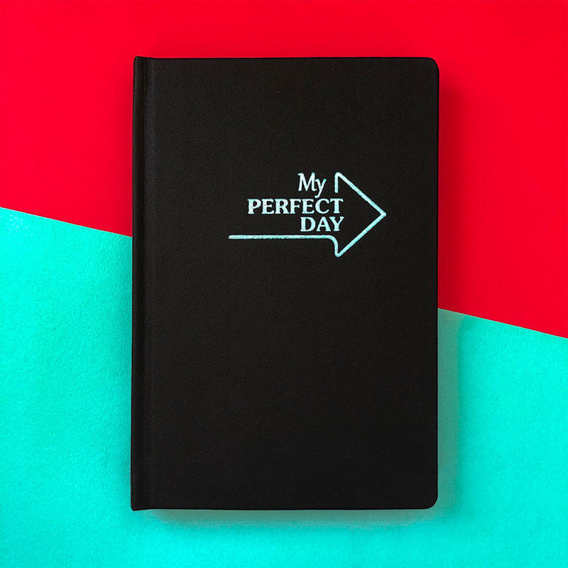 

Мотивирующий планер-ежедневник My perfect day LifeFLUX А5 мятный на черном (русский язык)