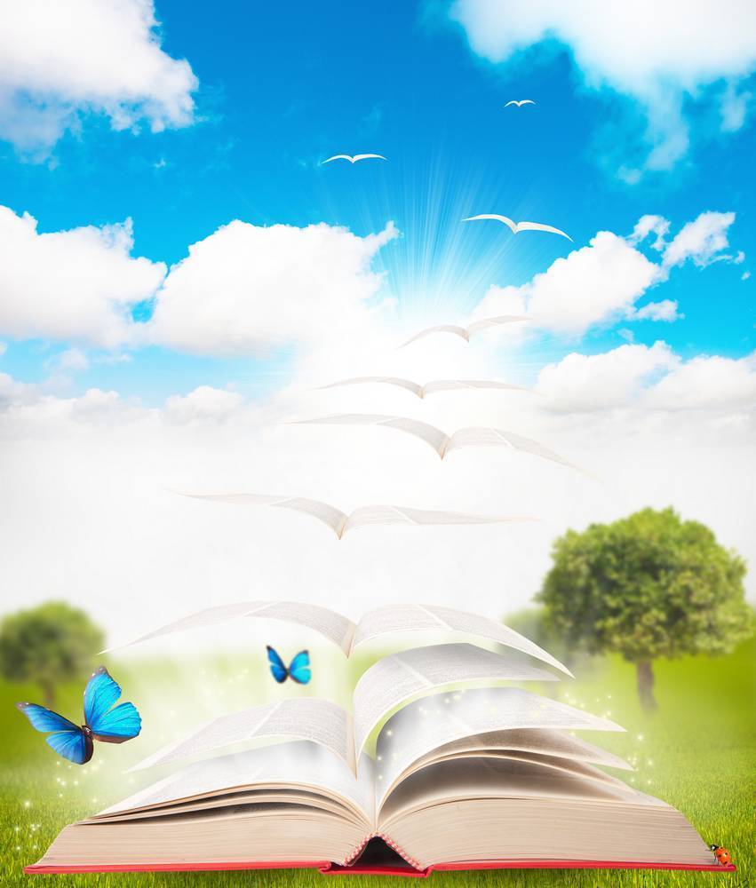 

Картина на холсте LaPrint Книги 80х120 см
