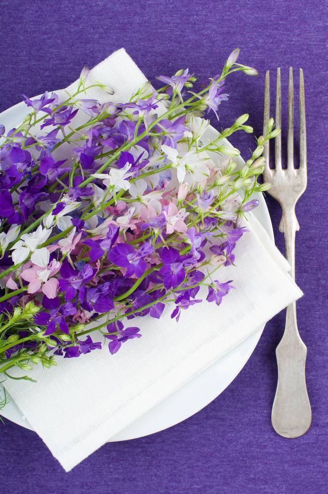 

Картина на холсте LaPrint Цветы 60х90 см