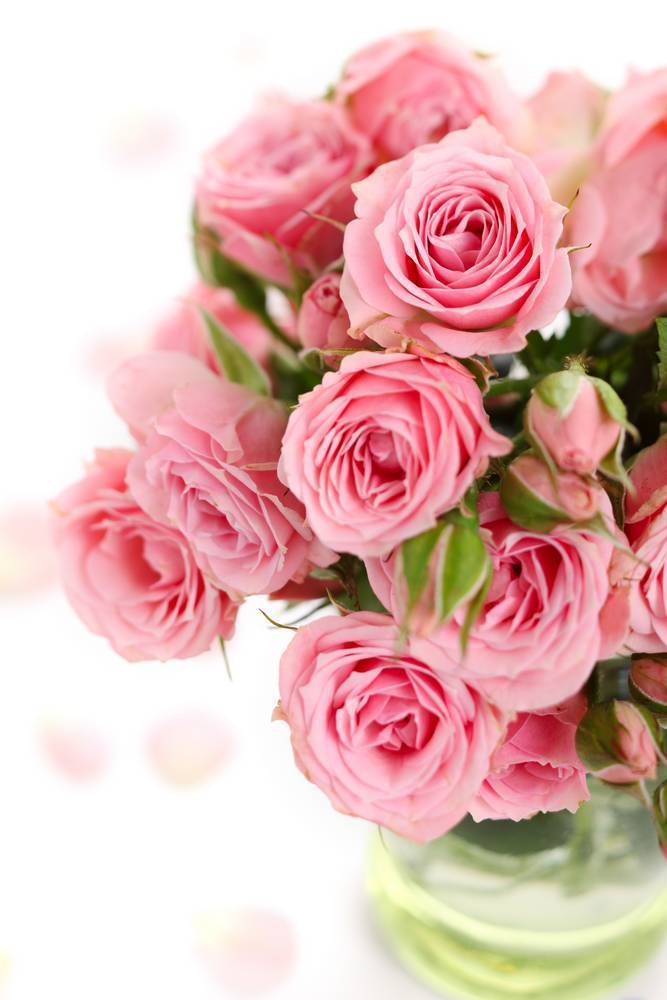 

Картина на холсте LaPrint Цветы 80х120 см