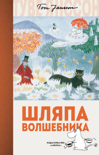 

Шляпа Волшебника (14932828)