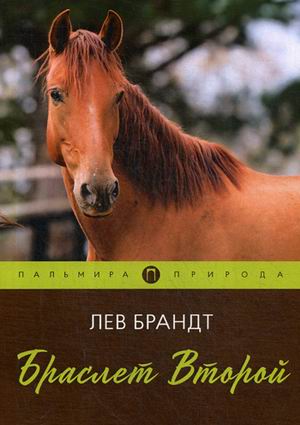 

Браслет Второй (18343087)